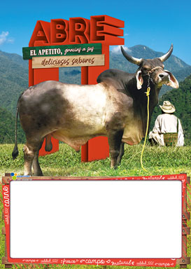 Almanaque Carnes Papel 1/8 